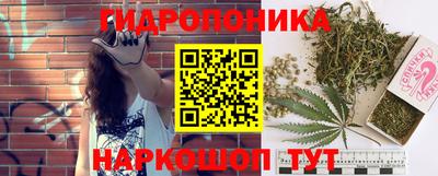 ALPHA PVP Бийск