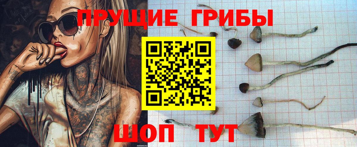 Канабис  Кокаин  NBOMe  Зима  Меф   МЕФ  ГАШИШ  Вход с VPN 