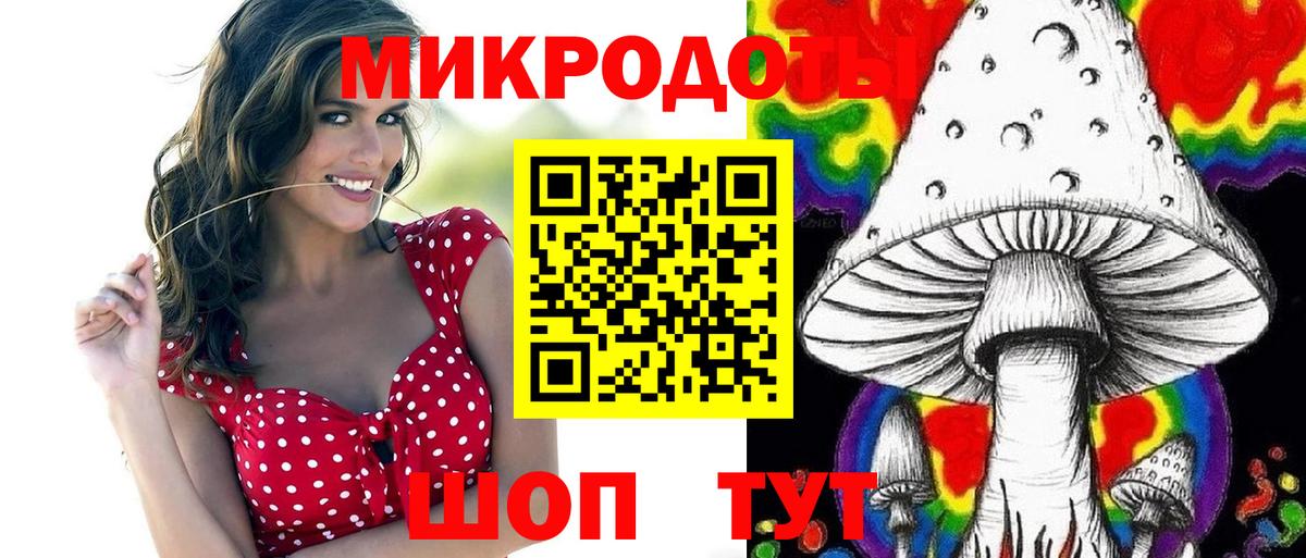 Галлюциногенные грибы GOLDEN TEACHER Зима