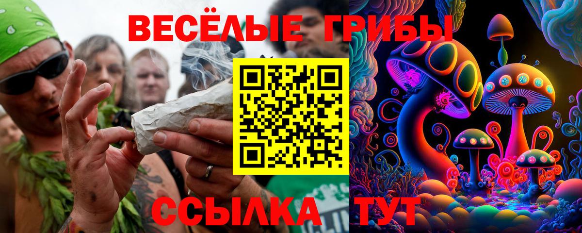 Галлюциногенные грибы мухоморы  Галлюциногенные грибы Cubensis  Вход с VPN  Зима 